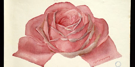 'Wild & Cultivated:  Fashioning the Rose' talk by Amy de la Haye primary image