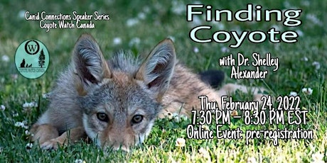 Finding Coyote with Dr. Shelley Alexander primary image