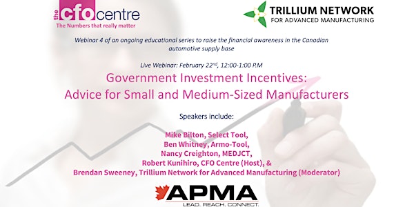 Government Investment Incentives: Advice for SME's