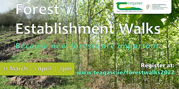 Forest Walk 2022 - Roscommon