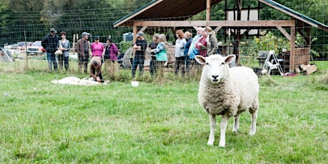 Orcas Island Farm Tour primary image