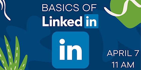 Learn the Basics of LinkedIn