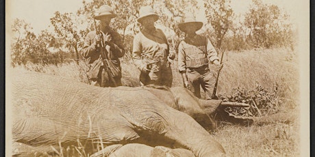 Shooting an Elephant: Why I am Writing a History of Human-Animal Emotions... primary image
