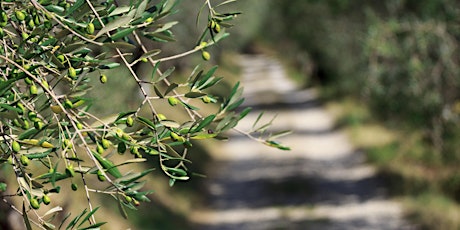 The Olivina Olive Oil Tour primary image