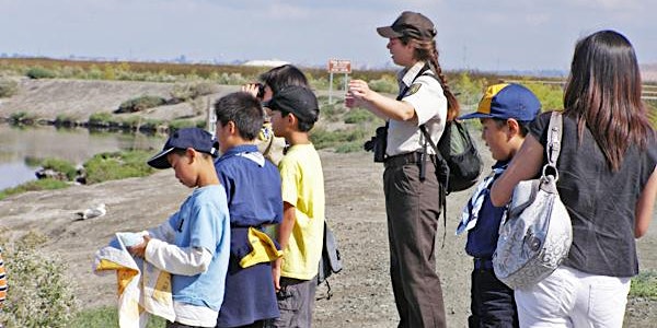 Webelos Adventure, Into the Wild
