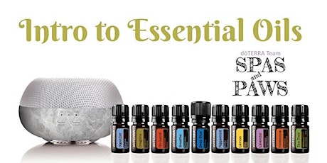 INTRO CLASS:  Natural Solutions with the top 10 Essential Oils (doTERRA)