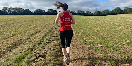 The Eve Appeal Virtual London Marathon 2022 primary image