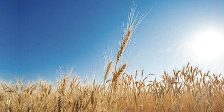 Pinnaroo Pre-Harvest Seminar 2016 primary image