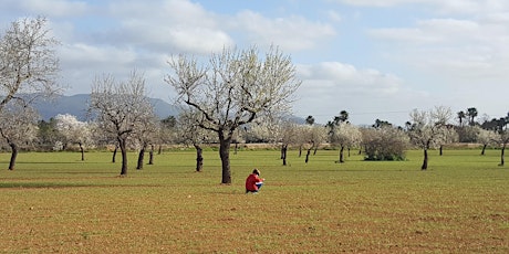 Imagen principal de Visita guiada "S'Horta de Dalt: entre la ciutat i la natura"
