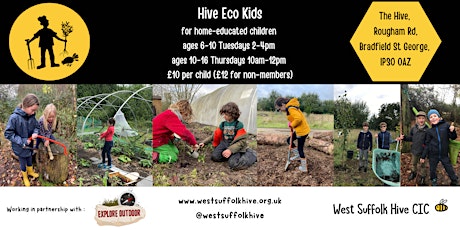 Hive Eco Kids - Thursday Group