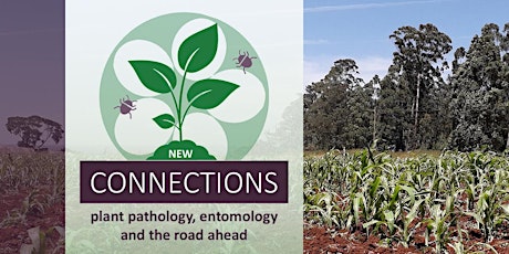 New CONNECTIONS: plant pathology, entomology and the road ahead bilhetes