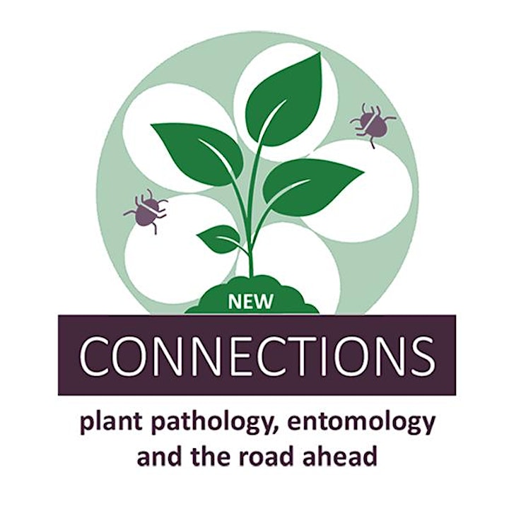 New CONNECTIONS: plant pathology, entomology and the road ahead image