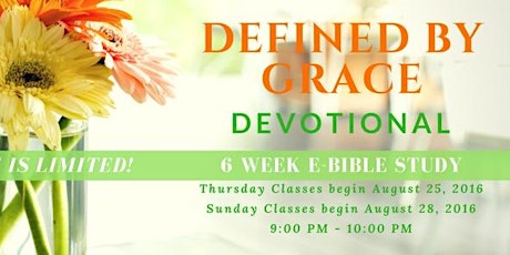 Defined by Grace Devotional E-Bible Study primary image