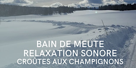 Bain de Meute - Relaxation Sonore - Croûtes aux champignons