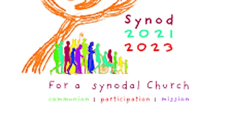 Zoom Gathering On The Synod