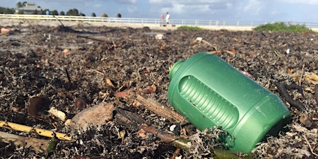 Hauptbild für What's the Big Deal with Microplastics? WEBINAR