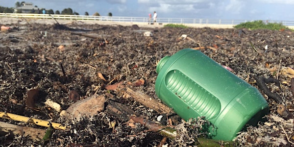 What's the Big Deal with Microplastics? WEBINAR