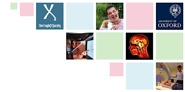 Fragile X Syndrome Research Workshop