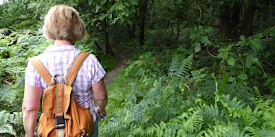 Walk the Moorlands - Panoramic Wetley Moor