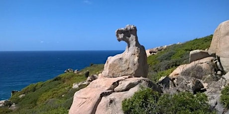 Immagine principale di Archeotrekking a Capo Pecora Costa Verde 