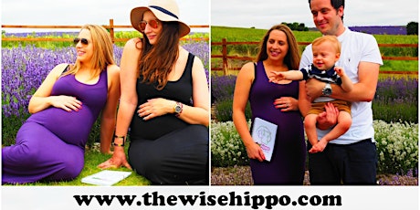 The Wise Hippo Birthing Programme - Quick Tools for Birth Preparation Taster primary image
