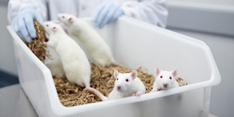 Medical research without animals primary image