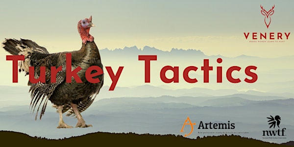 Turkey Tactics Saturday