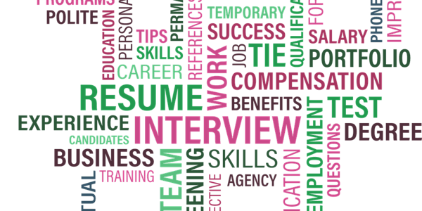 BPDA Careers Secrets from a Recruiter: An Insiders Guide to Getting Your Dr...