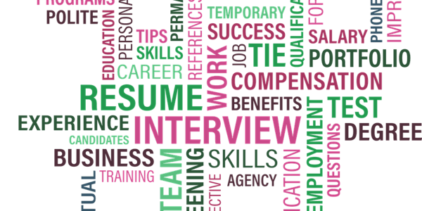 BPDA Careers Secrets from a Recruiter: An Insiders Guide to Getting Your Dream Job