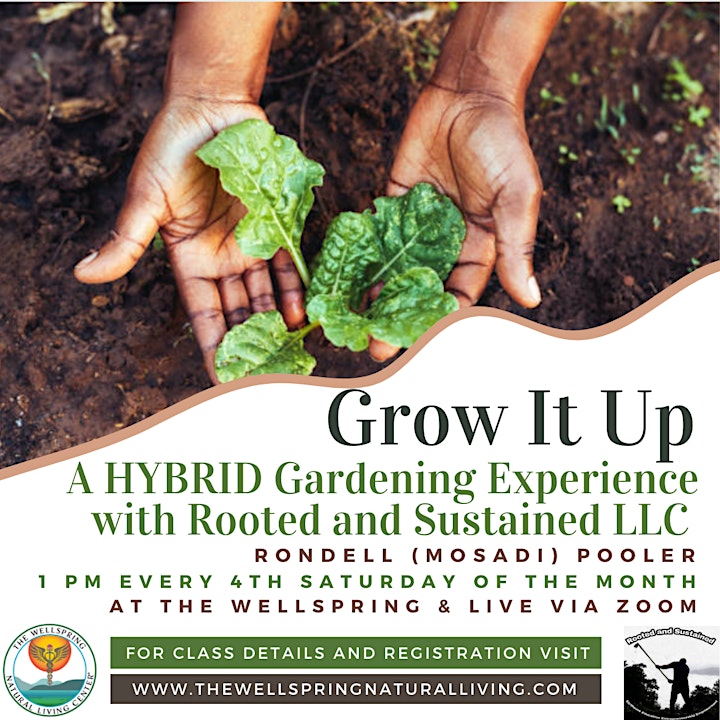 A Hybrid Gardening Experience: Grow It Up! image