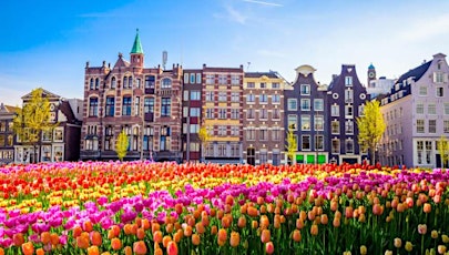 Tulips from Amsterdam, Cycle in the spring.