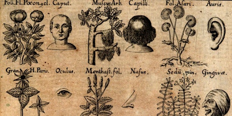 Immagine principale di The Doctrine of Signatures in Early Modern Medicine 