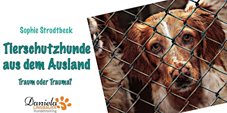 ONLINE-Vortrag Tierschutzhunde aus dem Ausland (Sophie Strodtbeck) tickets