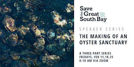 Imagem principal do evento The Making of An Oyster Sanctuary
