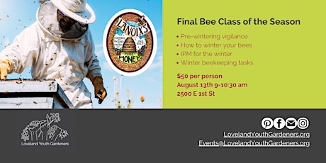 Beginner Beekeeping Series  - Session 4