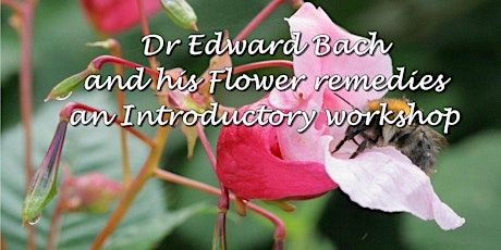 Bach Flower – Introductory Workshop primary image