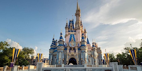 Earn Extra Income Booking Disney! tickets