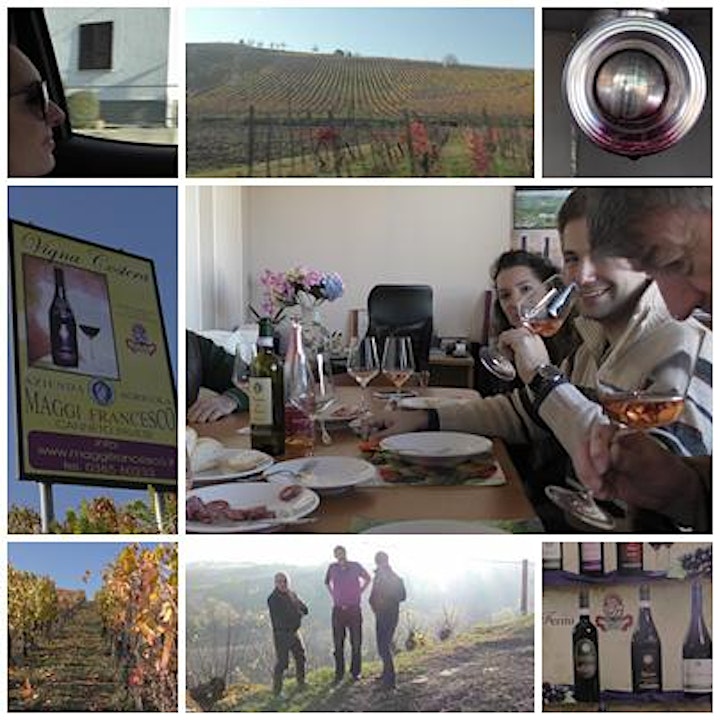 
		Wine Tasting - Wines of the Oltrepò and wider Lombardia region image

