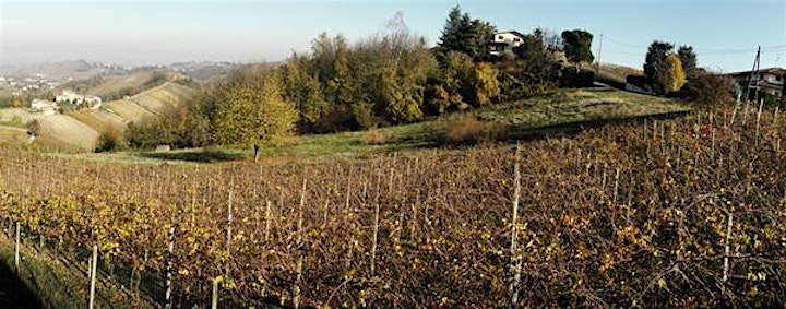 Wine Tasting - Wines of the Oltrepò and wider Lombardia region image