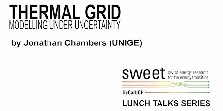 Hauptbild für Lunch Talk - Perspectives on thermal grid modelling under uncertainty