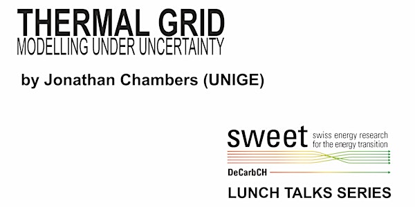Lunch Talk - Perspectives on thermal grid modelling under uncertainty