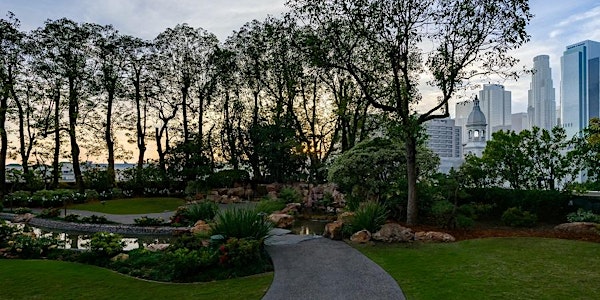 Sunset Yoga & Cocktails