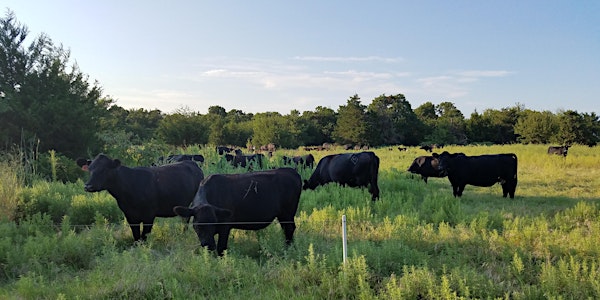 Reconciling Production with Land Health and Restoration - Oklahoma 2016