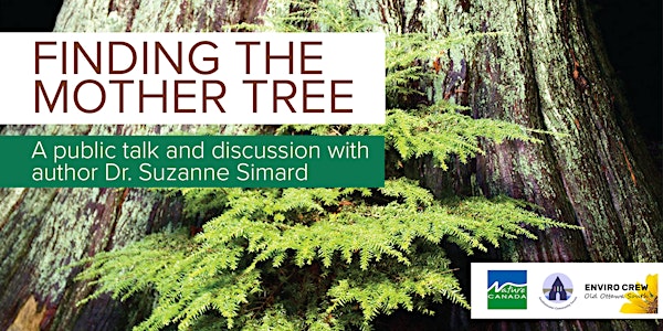 Finding the Mother Tree — A public talk and discussion