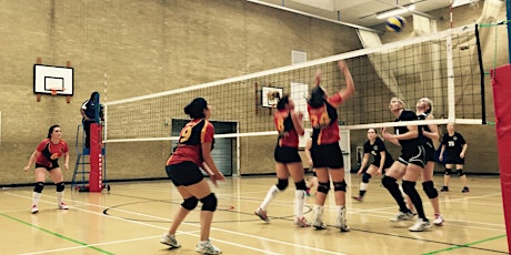 Volley 101 - A 10 week volleyball course for adult beginners primary image