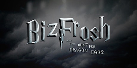 BizFrosh and the Hunt for Dragon Eggs primary image