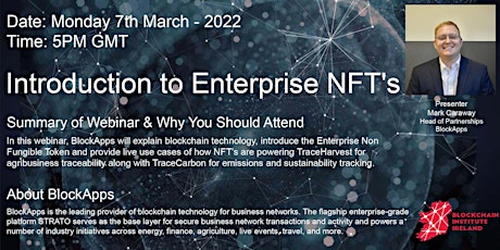 An Introduction to Enterprise NFT's primary image