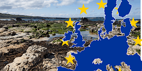 Northern Ireland at the Edge: What’s next after Brexit?