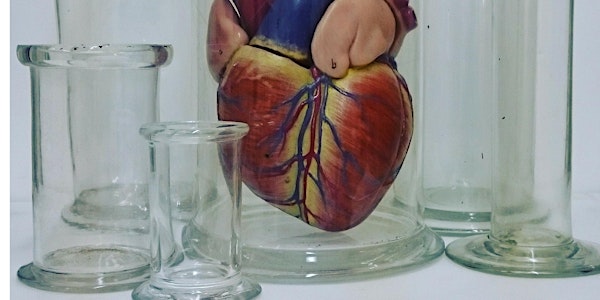 Breaking The Heart: Dissection Workshop For Adults