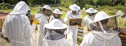 Collection image for Bowral Beekeeping - Flow Hive Fun